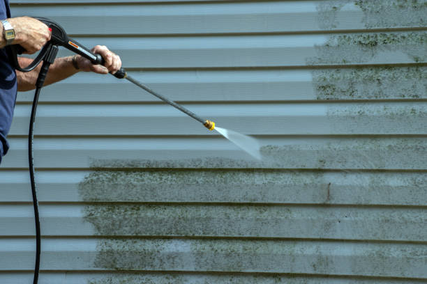 Best Gutter Cleaning  in Freedom, PA